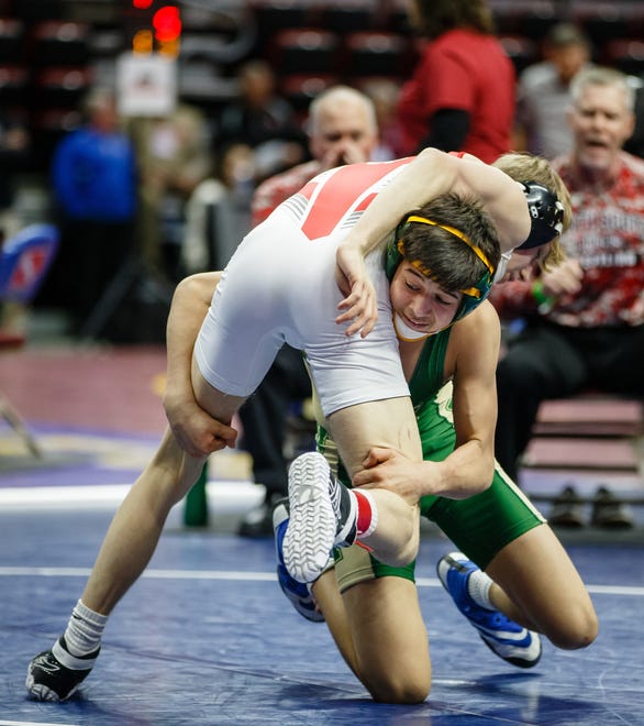 Hunter Garvin of Iowa City, West wrestles Cael Bredar of North Scott during their 3A 120 lb match at the state wrestling tournament on Thursday, Feb. 14, 2019 in Des Moines.